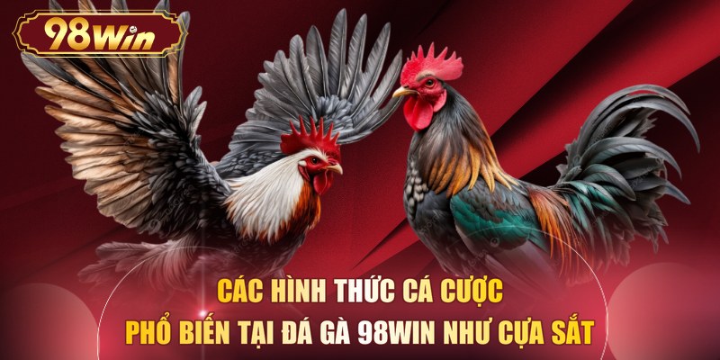 Các hình thức cá cược phổ biến tại Đá gà 98WIN như cựa sắt