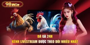 Đá Gà 24H - Kênh Livestream Được Theo Dõi Nhiều Nhất